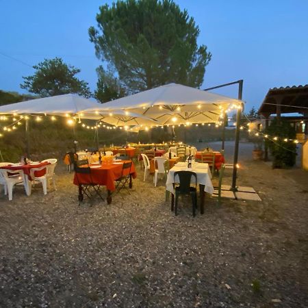 Podere Ripabianca Riparbella Εξωτερικό φωτογραφία