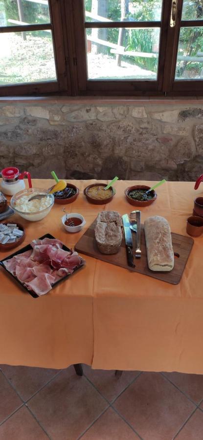 Podere Ripabianca Riparbella Εξωτερικό φωτογραφία